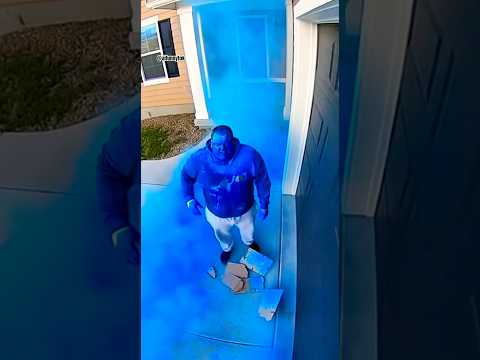 Thief Turns Into Angry Smurf When Package Bursts 💙