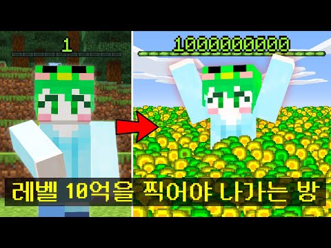 마인크래프트, 레벨 10억을 찍어야 나갈수 있는 방
