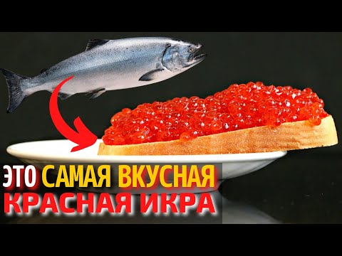 Top 10 Most Delicious Types of Caviar | The Most Delicious Red Caviar | How to Choose Red Caviar