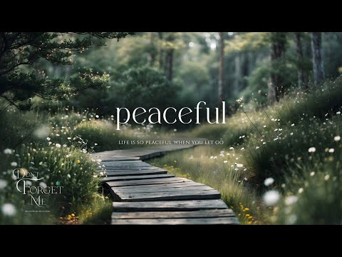 When You Let Go Of What You Can't Control 🌲🍃 Calm Guitar for Letting Go at Night