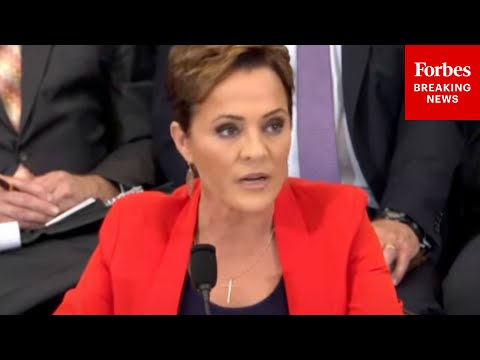 Kari Lake Details 'Totally Inappropriate' She Was Shocked To Find Voice Of America Had Published