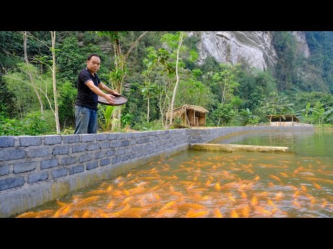 The man built a sturdy 70-meter-long pond wall using homemade bricks - a project to raise 5,000 fish