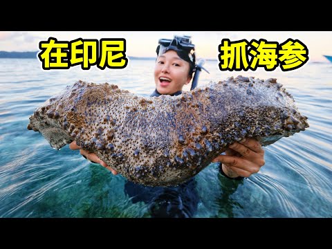 印尼抓巨型海参,一个比腿还粗,爆炒煮粥美味!| 印尼 | 赶海 | 海参 | 龙虾 | 螃蟹 |