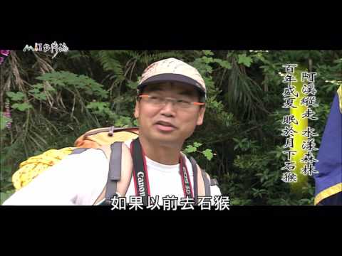 【MIT台灣誌 #474】阿溪縱走 水漾森林~百年盛夏 眠於月下石猴_1080p