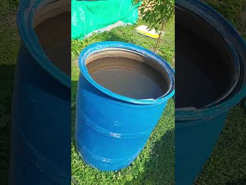 бурение абиссинсой скважины плюсский район.