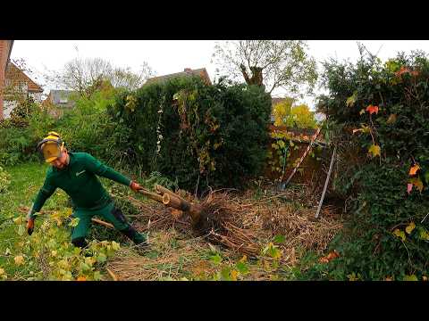 People DUMPED TRASH Into this Overgrown Yard Because They Thought it Was ABANDONED