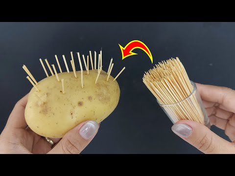 NOBODY believes it but it really works! Tricks You'll Use Every Day