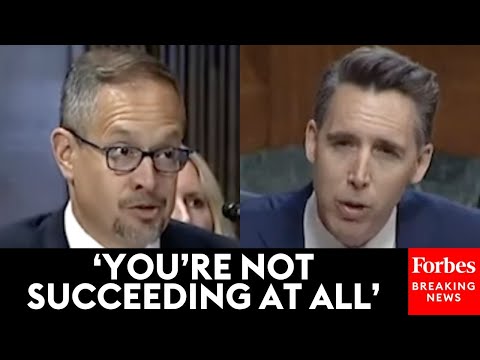 ‘The Answer You’re Looking For Is No’: Josh Hawley Rejects Witness’s Claim Of Lowering Drug Costs