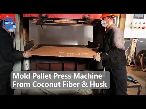 ZZCHRYSO Coconut Fiber & Husk Molded Pallet Press Machine Working Site For India Customer