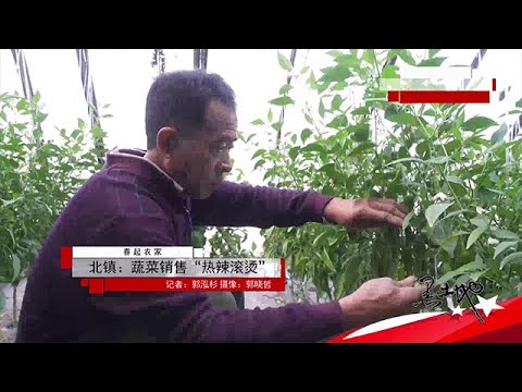 黑土地 20250324：遼寧北鎮：蔬菜銷售「熱辣滾燙」