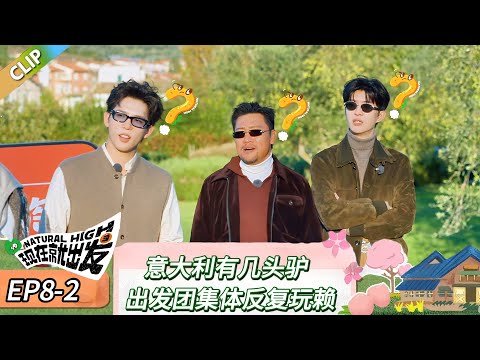 【现在就出发 第三季】 EP8-2：意大利有几头驴，出发团集体反复玩赖！《现在就出发 第三季》Natural High S3