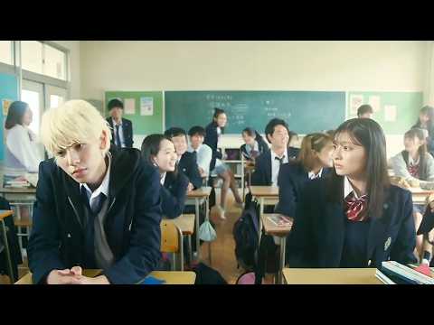 A Popular High School Boy Secretly Falls in Love With the Girl Everyone Bullies