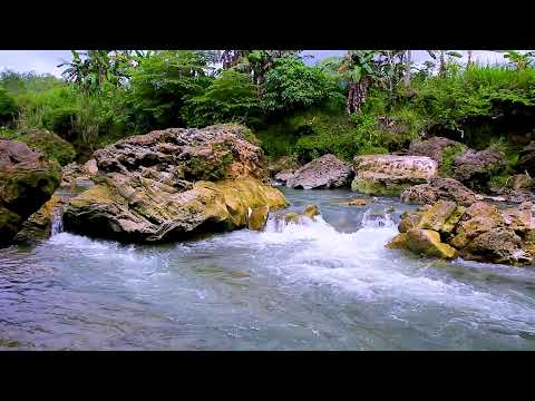 Gentle mountain stream sounds creating peaceful water ambience for night rest