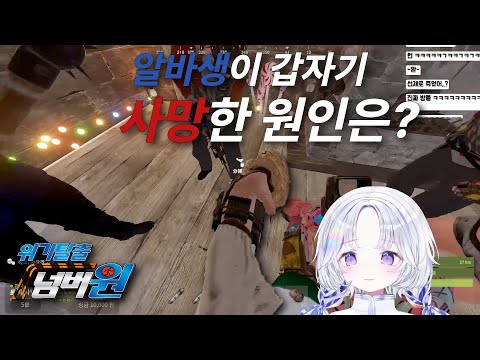 매이드카패