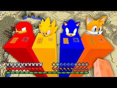 I found SUPER LONG HOUSE OF SONIC AND KNUCKLES AND SUPER SONIC AND TAILS in Minecraft