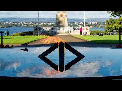 A DAY AT KING'S PARK