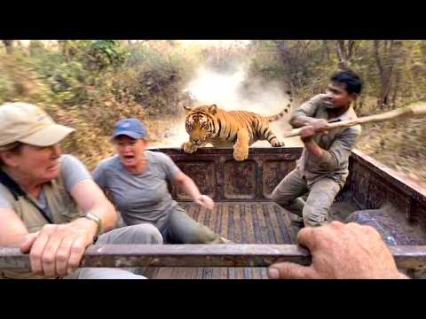 Safari Trips Went Horribly Wrong