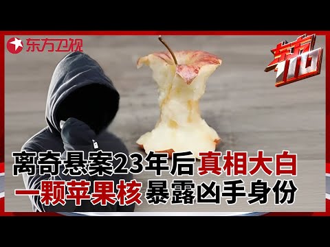 23年前女子在出租屋内被杀害, 凶案现场仅留下一颗苹果核, 高科技侦查揭开惊人真相 #东方110 FULL
