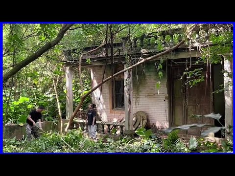 The young couple returned to their hometown to renovate the old abandoned house for a long time