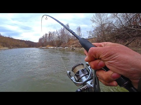 ВОТ ЧТО ЗНАЧИТ ПОПАЛ! КЛЁВ КАК ВО СНЕ! ЛОВЛЯ С ЛОДКИ! Рыбалка на спиннинг 2025.