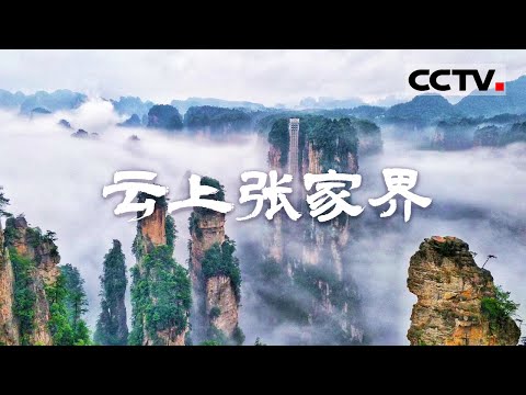 电影《阿凡达》的取景地 北纬30度的又一仙境——张家界《湘西》【CCTV纪录】