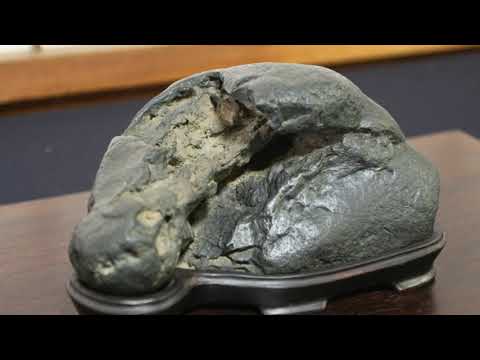 水石　全日本愛石協会第１１回関西展　31.2.10 水石展　Suiseki Exhibition