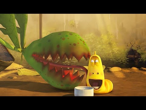 LARVA - PLANTA MELHOR AMIGO | Fatia de limão | Dos desenhos animados | Cartoons Para Crianças