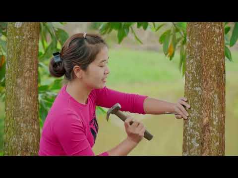 Make Duck Coop, Living Off Grid Alone Life, Survival Instinct