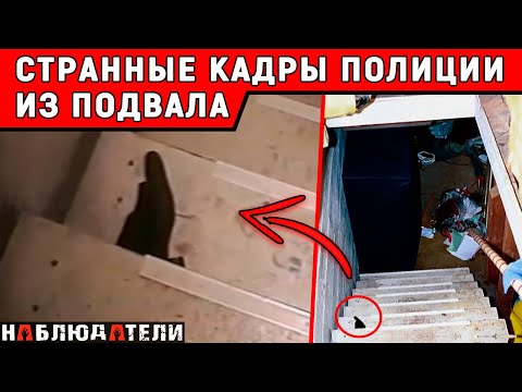 Мужчина спустился в подвал дома, а через секунды после этого в 911 поступил звонок.