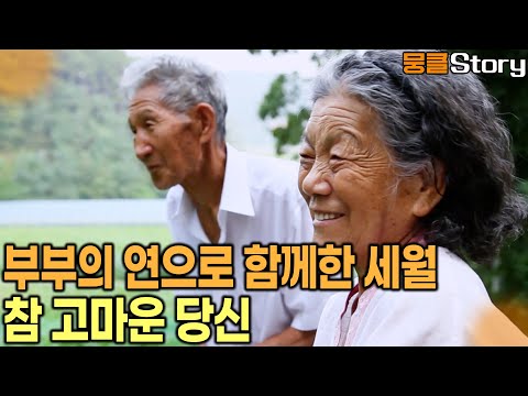 별 다른 사건도 없이 살아가는 모습 그대로~ 아름답지만 쓸쓸한 노년의 부부 이야기 [KBS 20140909 방송]