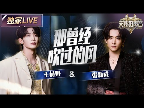 【独家LIVE】王赫野&张新成《那曾经吹过的风》 用和声编织盛夏离别 舞台上的每句歌词都像落在心尖的蝉鸣 #天赐的声音6 EP12 20250704