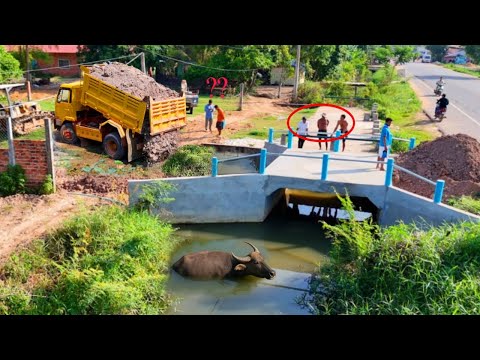 Nicely Action Project!! Fill Land On Pipes Sewer System by Mini Dozer BD2g & 5ton Truck Dumping Soil