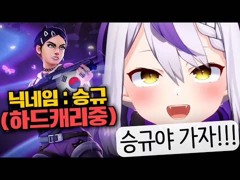 혜성처럼 나타난 의문의 캐리머신 "승규"씨ㅋㅋㅋㅋㅋㅋㅋㅋㅋㅋ [홀로라이브 | 라플라스 다크니스]