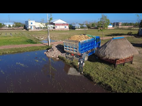 Might incredible by Miniature bulldozer push soil clear trash in water & 5-ton trucks transport soil