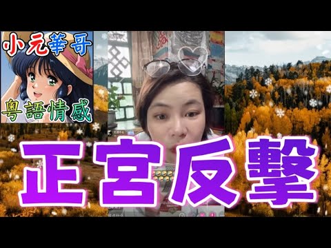 渣男玩完回歸家庭⚡️小三曬親密照反被蒐證？！⚡️正宮聯手設局逼還錢💔#小元姐姐 #滾動留言版 #小元最新直播 #廣東話 #粵語情感 8 25 NO A B YC