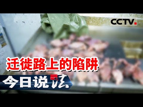 《今日说法》父亲落网 儿子接班 一个电话牵出的跨国毒网！幕后“苍鹰”究竟是谁？20251120 | CCTV今日说法官方频道