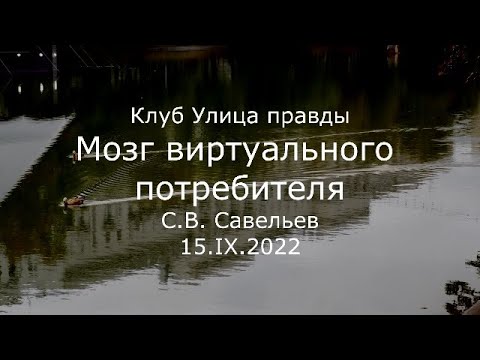 С.В. Савельев - Мозг виртуального потребителя