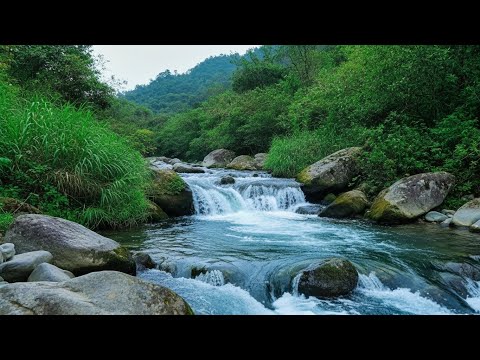 Relax Your Mind with Water Sounds | Gentle Waterfall & River