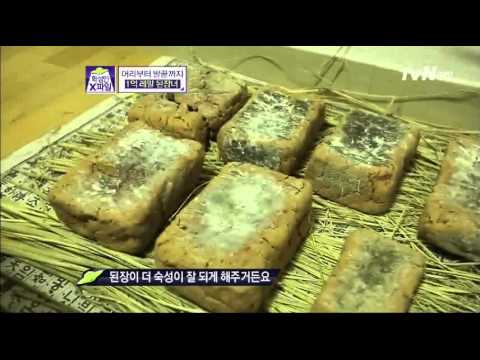 화성인X-파일 된장녀 쩜장 125화 뜰안에된장