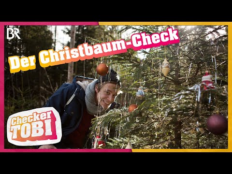 Der Christbaum-Check | Reportage für Kinder | Checker Tobi | BR