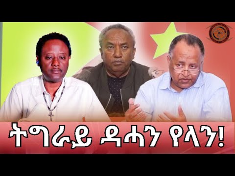 interview with Dr.Gheladewos Aria , about current Ethiopia situation