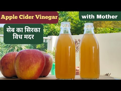 घर पर सस्ते में आसानी से बनाएं सेब का सिरका विध मदर | How to make apple cider vinegar