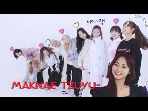 Maknae Tzuyu being member's source of happiness