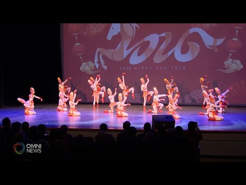 中国驻多伦多总领馆马年新春招待会