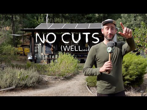 #157 One shot video: tour around Kamp