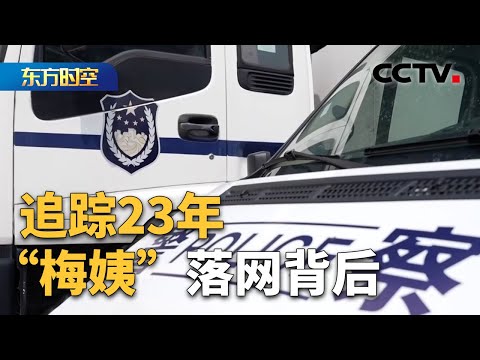 办案民警讲述“梅姨案”侦办细节 主犯已被执行死刑 是否影响“梅姨”定罪？| CCTV「东方时空」