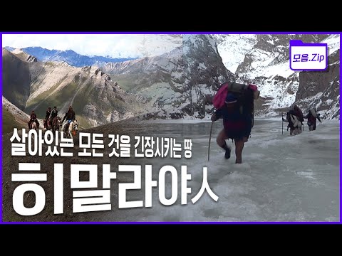 [명작다큐🎖️몰아보기] 만만한 길이 없다. 시련을 온 몸으로 받아내는 히말라야 사람들의 세 갈래 여정! | 2014 KBS 파노라마 '히말라야인' 3부작