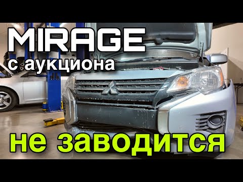 I bought a shrimp at auction / No luck