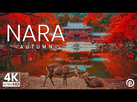 Nara, Japan in Autumn 4K - Amazing Beautiful Nature Scenery with Relaxing Music