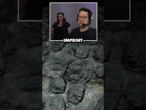 That's a huge ... imprint